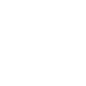Zelvon Assets Markets